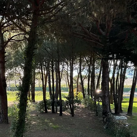 Hébergement de vacances Shtepia Nen Pisha 