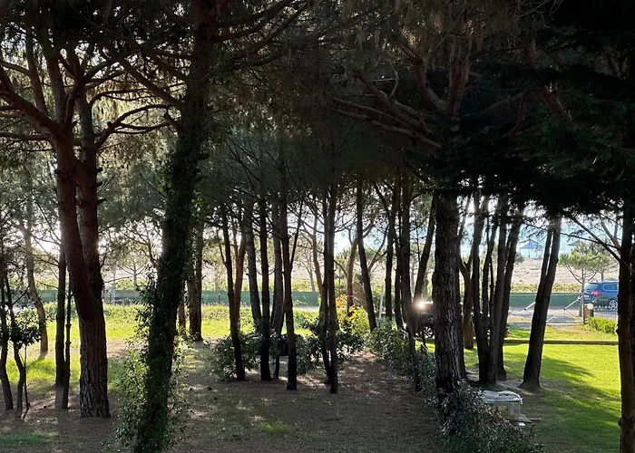 Hébergement de vacances Shtepia Nen Pisha 