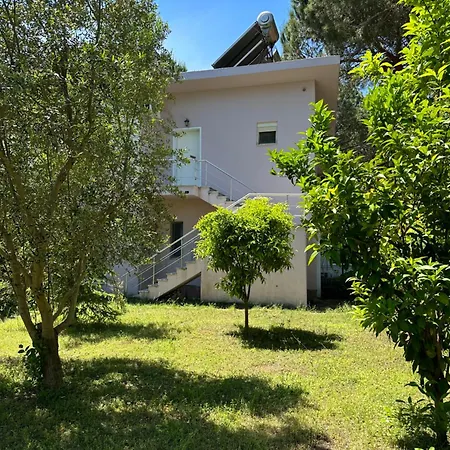 Shtepia Nen Pisha The House Under The Pines Ferienhaus